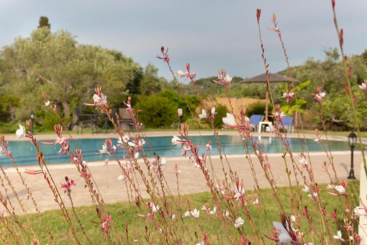 Villa Adonis Halikounas Exterior photo